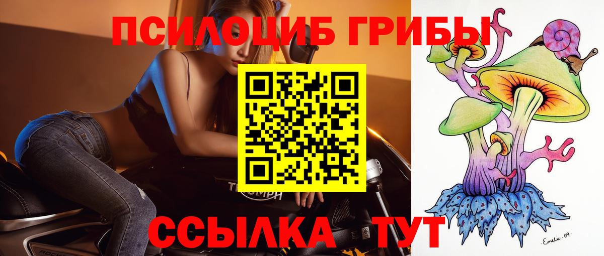 Псилоцибиновые грибы мухоморы  Вход с VPN  Псилоцибиновые грибы мицелий  Аша 