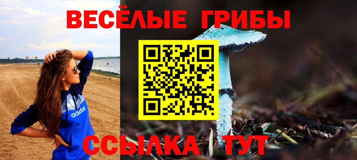 Галлюциногенные грибы GOLDEN TEACHER Аша